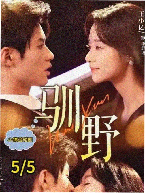 剧集作品海报：成长线长线青春剧
